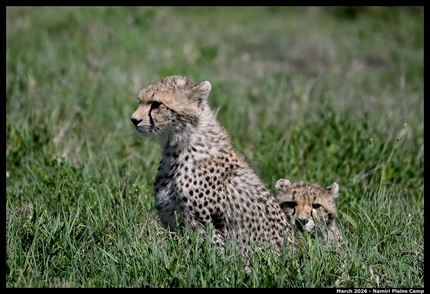 _Z8B2309_00001_Ute_2400px