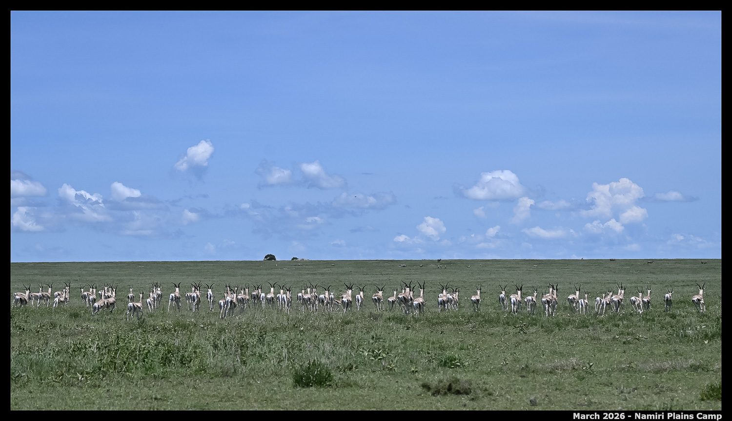 _Z8B2357_00001_Ute_2400px