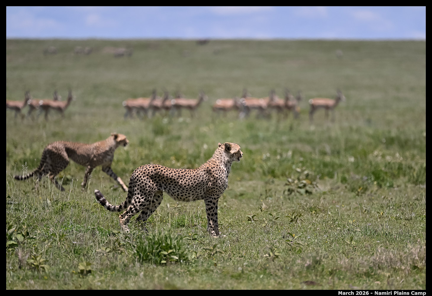 _Z8B2391_00001_Ute_2400px