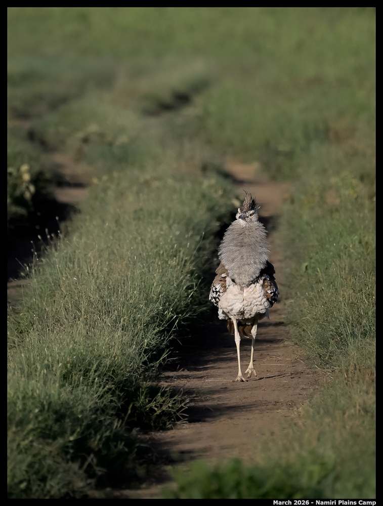 _Z8B2568_00001_01_Ute_2400px