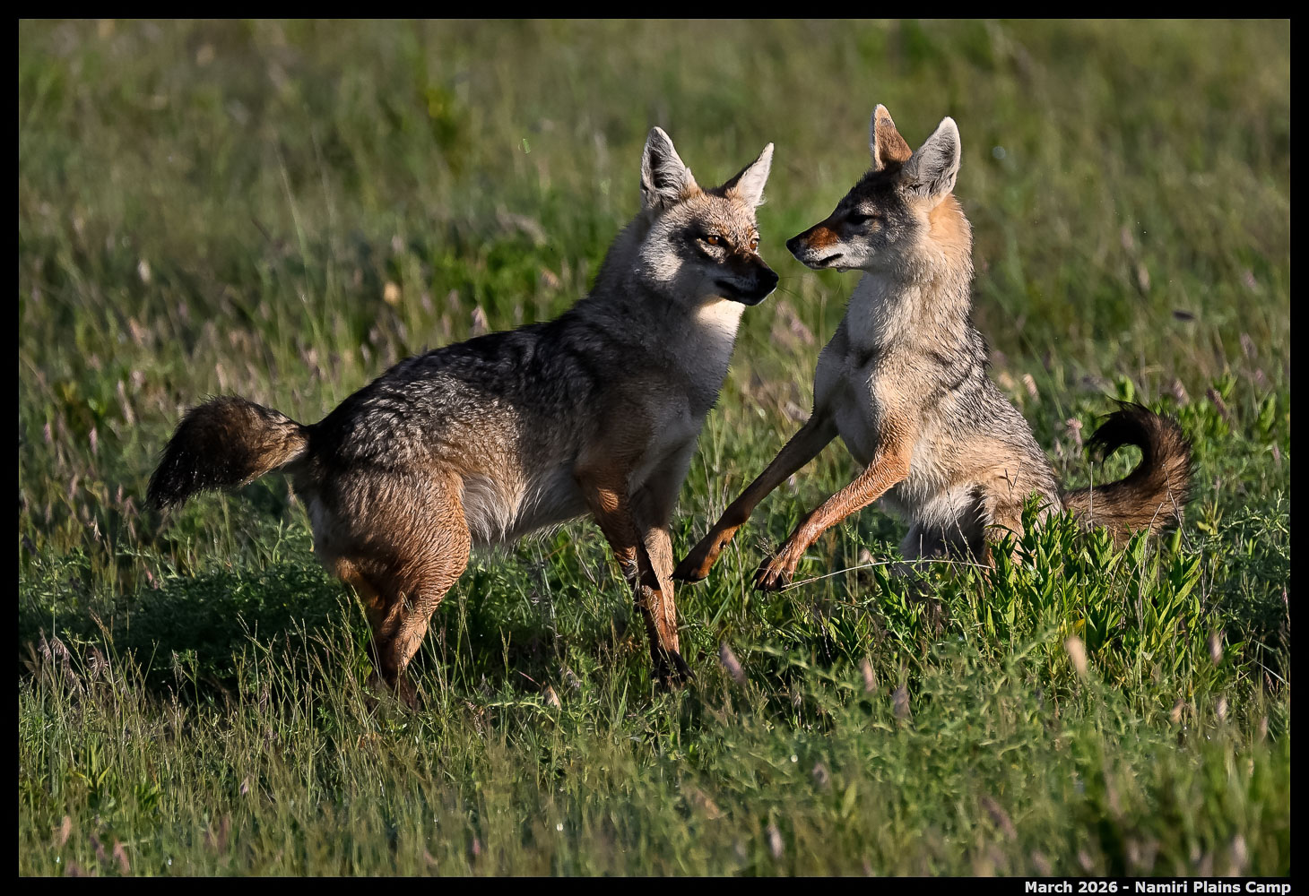 _Z8B2748_00001_Ute_2400px