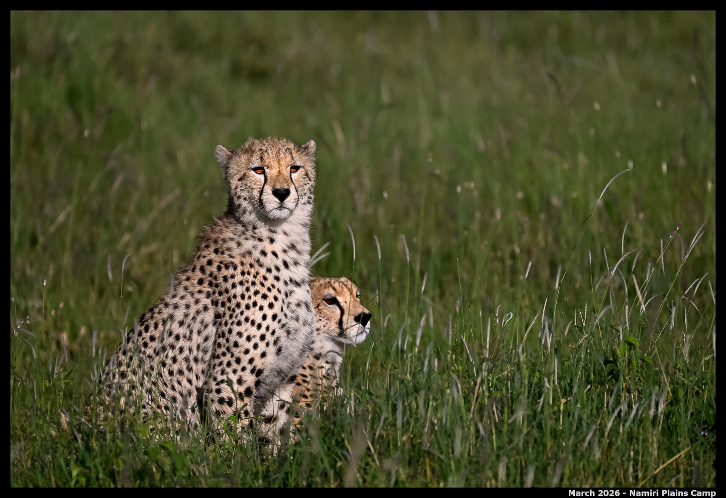 _Z8B2905_00001_Ute_2400px