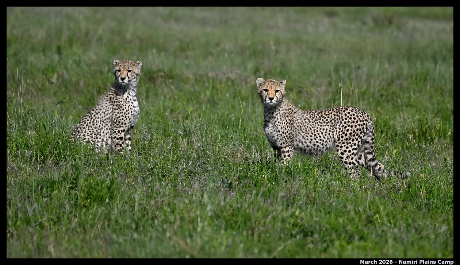 _Z8B2932_00001_Ute_2400px