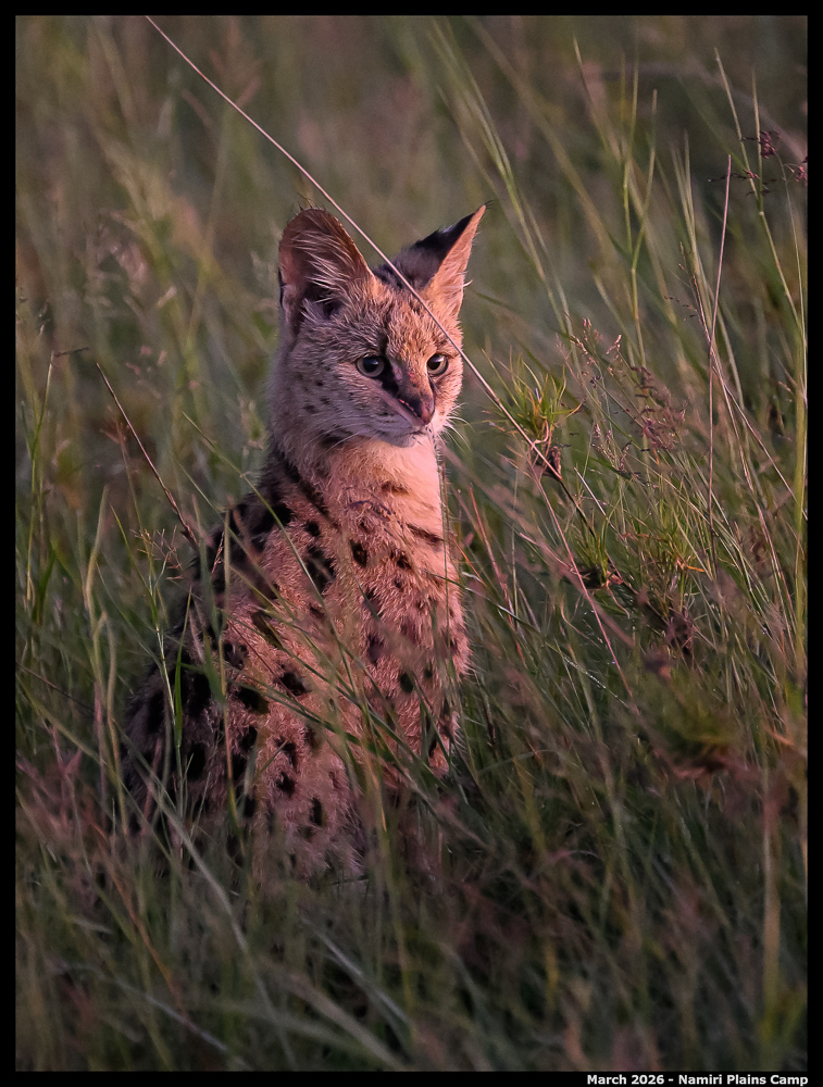 _Z8B3015_00001_Ute_2400px