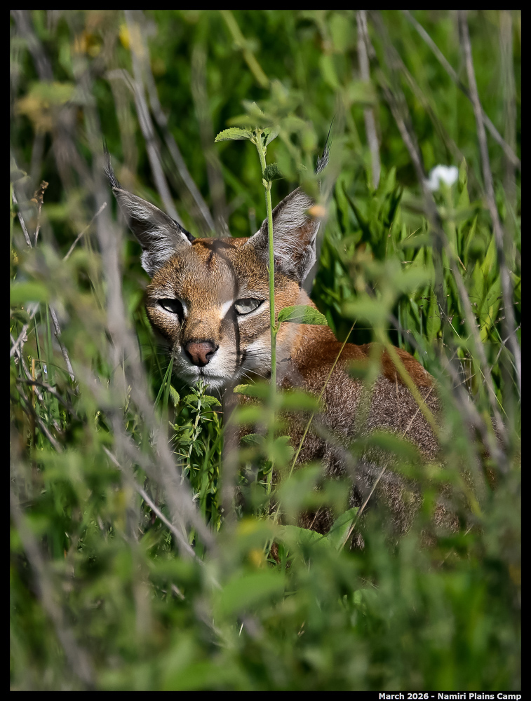_Z8B3285_00001_Ute_2400px
