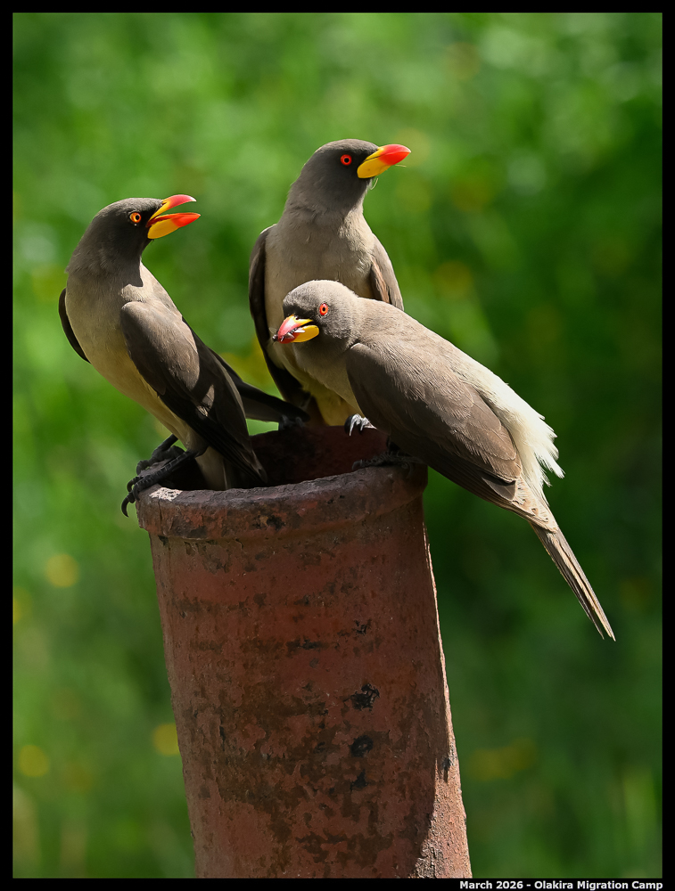 _Z8B3317_00001_Ute_2400px
