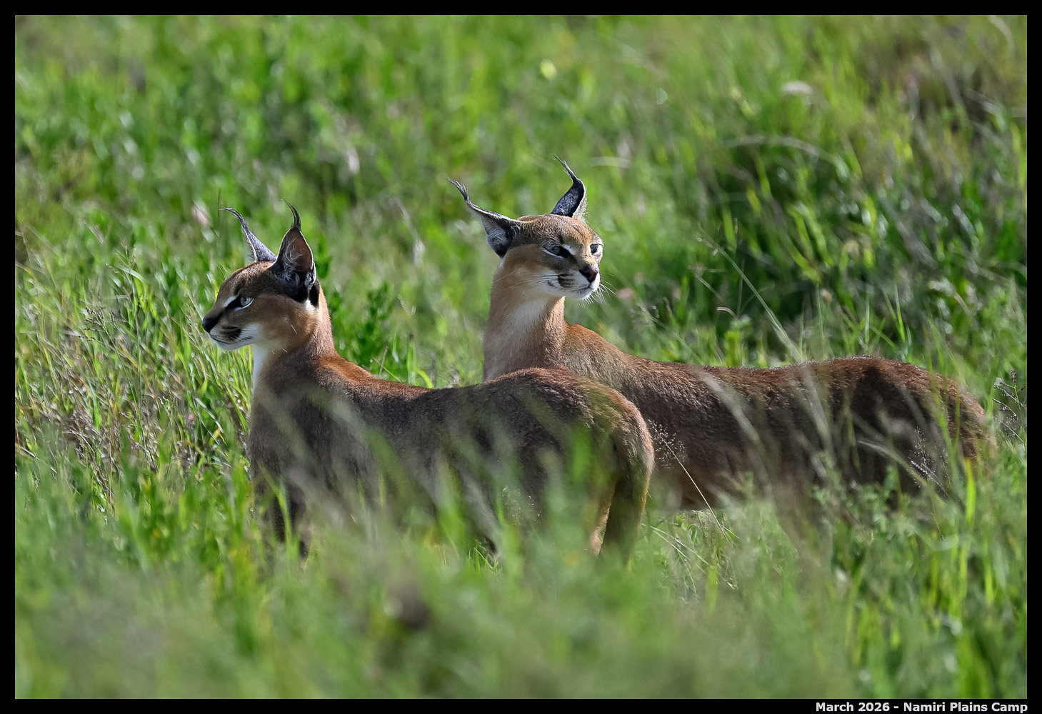 _Z8B3480_00001_Ute_2400px