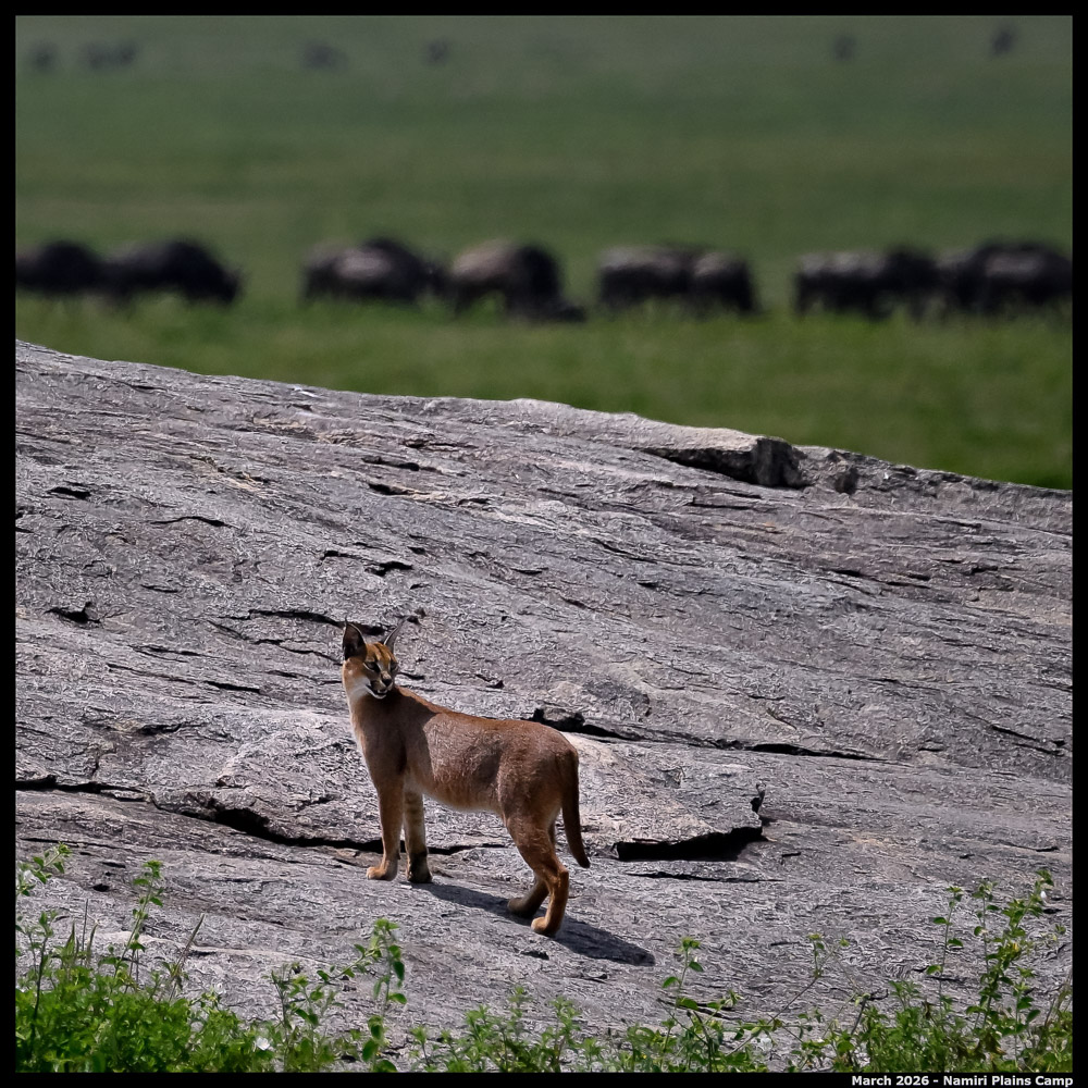 _Z8B3586_00001_Ute_2400px