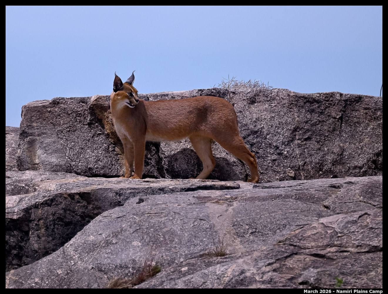 _Z8B3595_00001_Ute_2400px