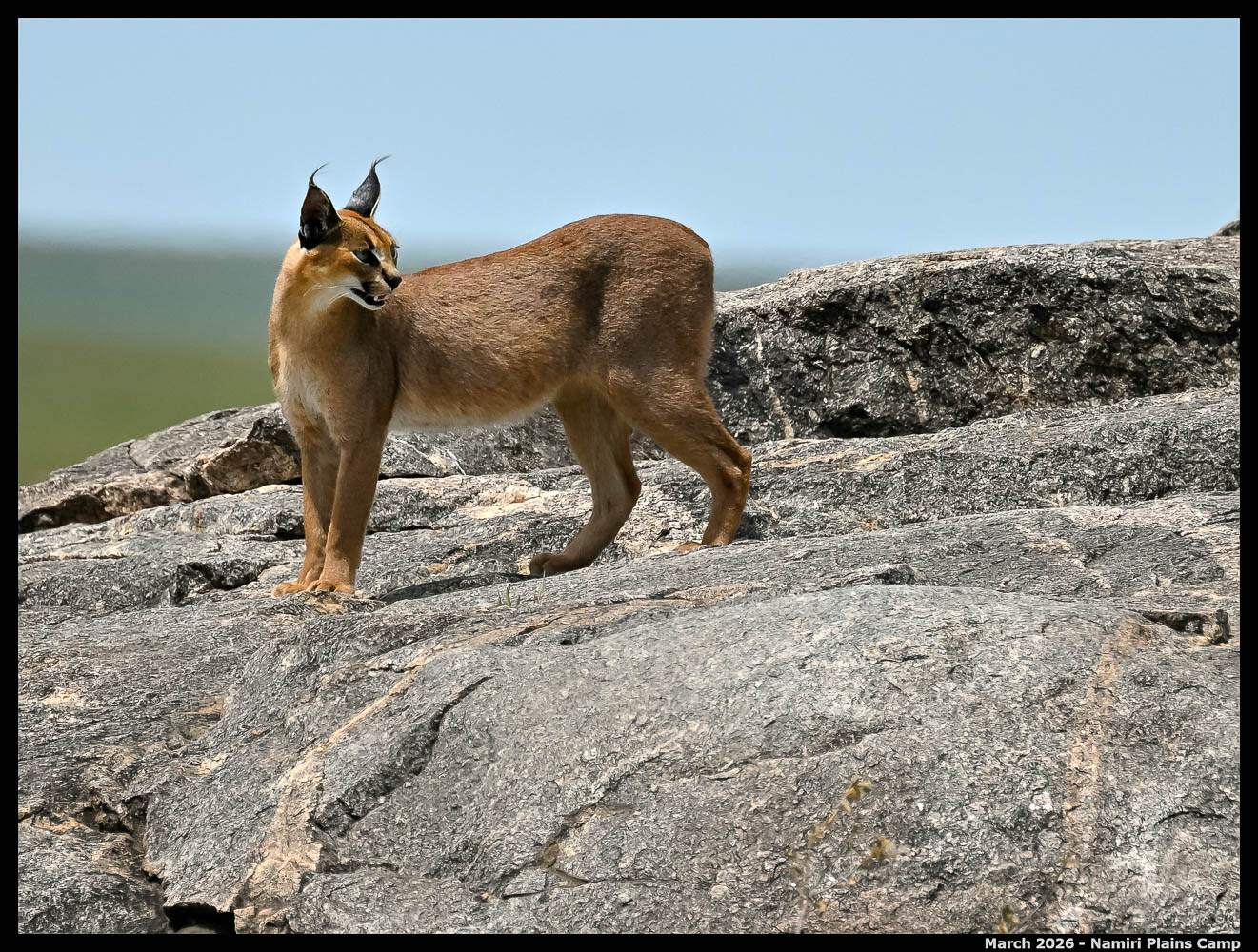 _Z8B3607_00001_Ute_2400px