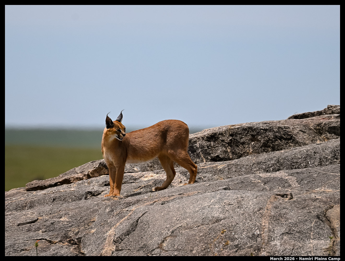 _Z8B3608_00001_Ute_2400px
