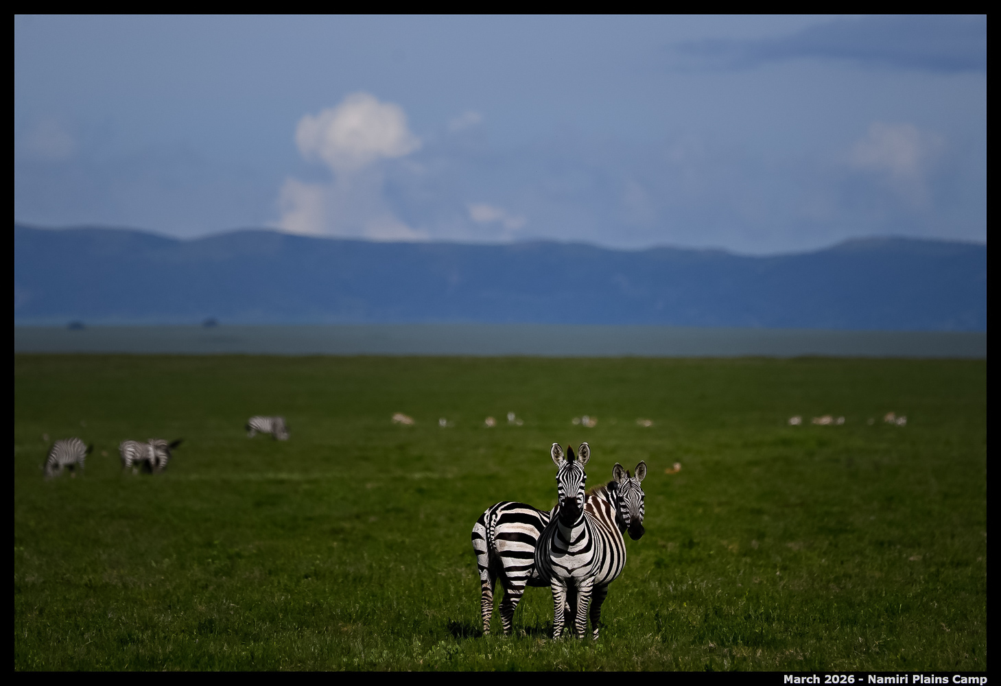 _Z8B3716_00001_Ute_2400px