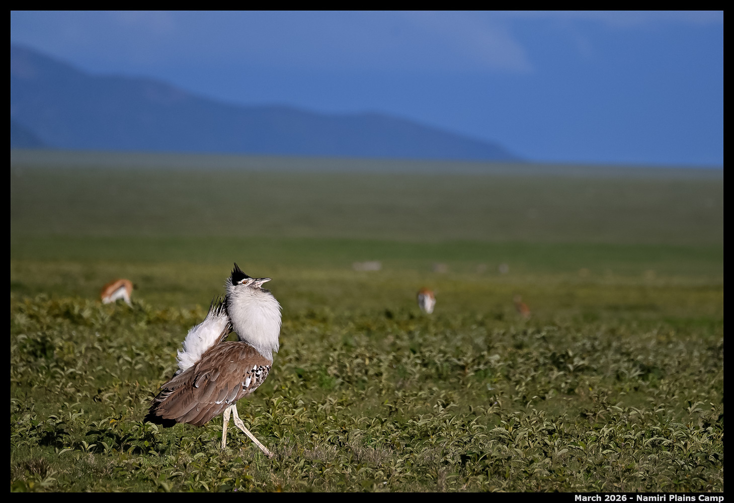 _Z8B3856_00001_Ute_2400px