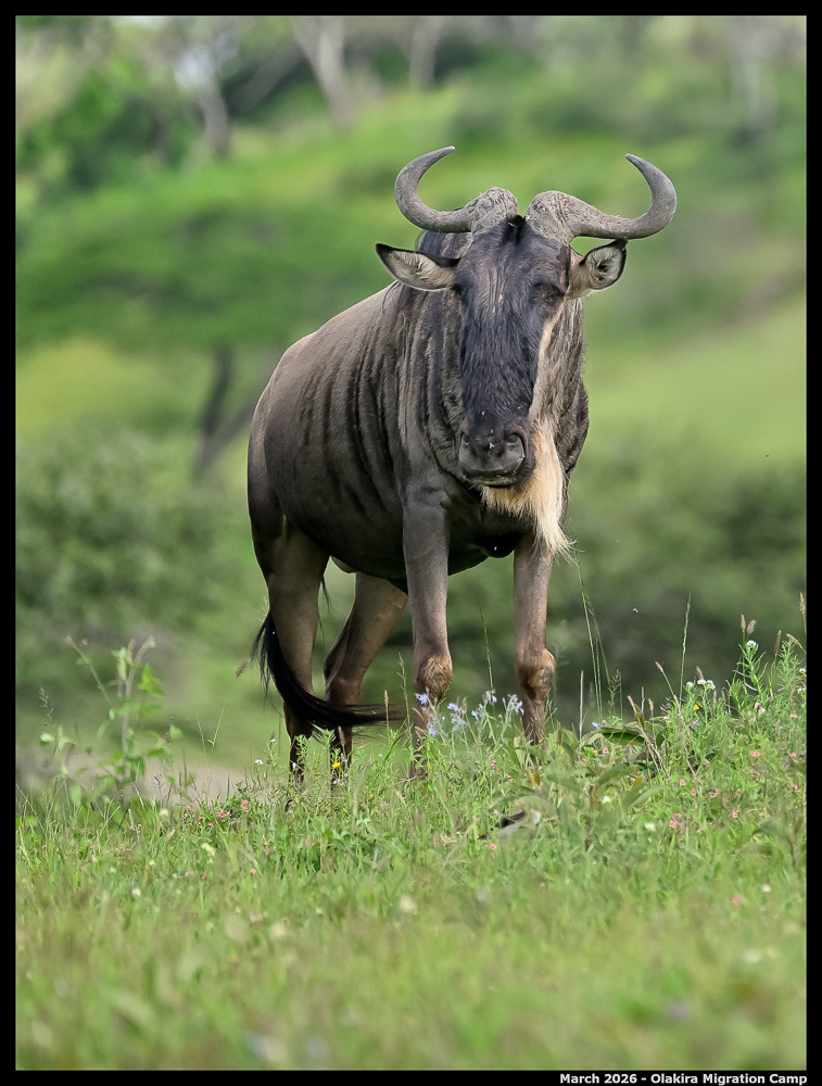 _Z8B3861_00001_Ute_2400px