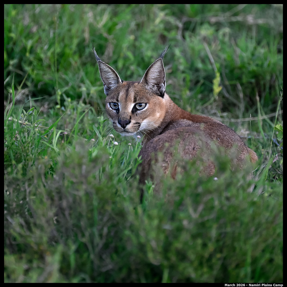 _Z8B4023_00001_Ute_2400px