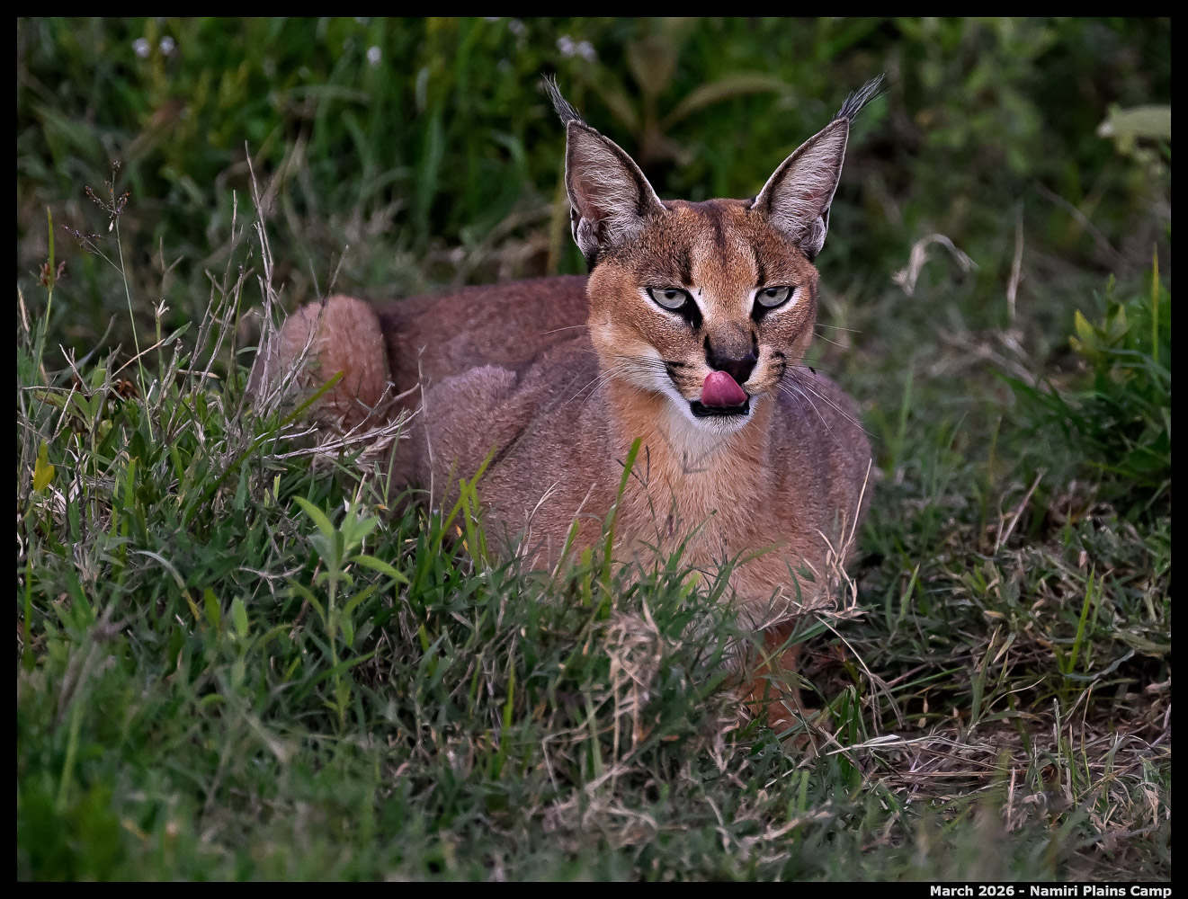 _Z8B4086_00001_Ute_2400px