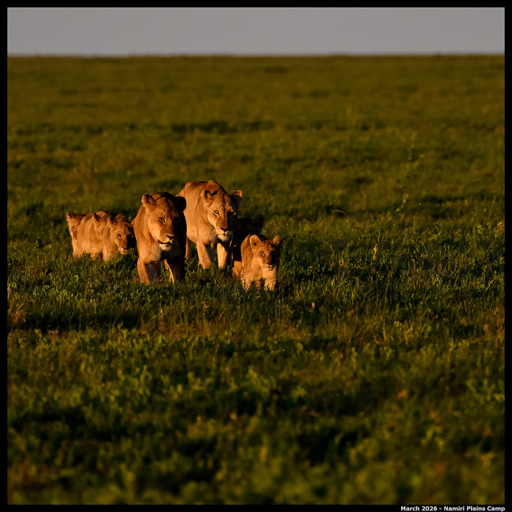 _Z8B4253_00001_Ute_2400px