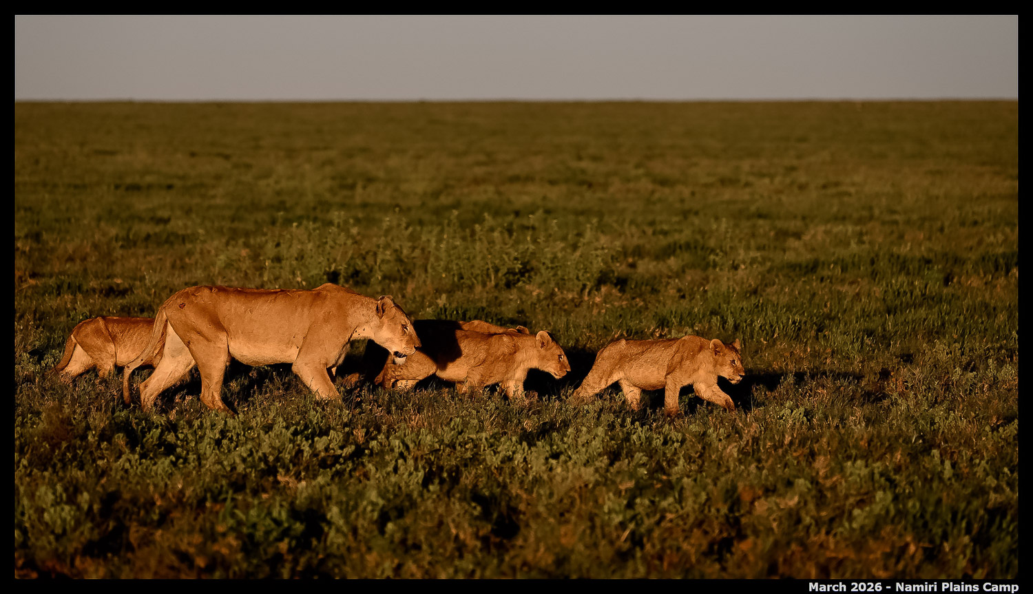 _Z8B4286_00001_Ute_2400px