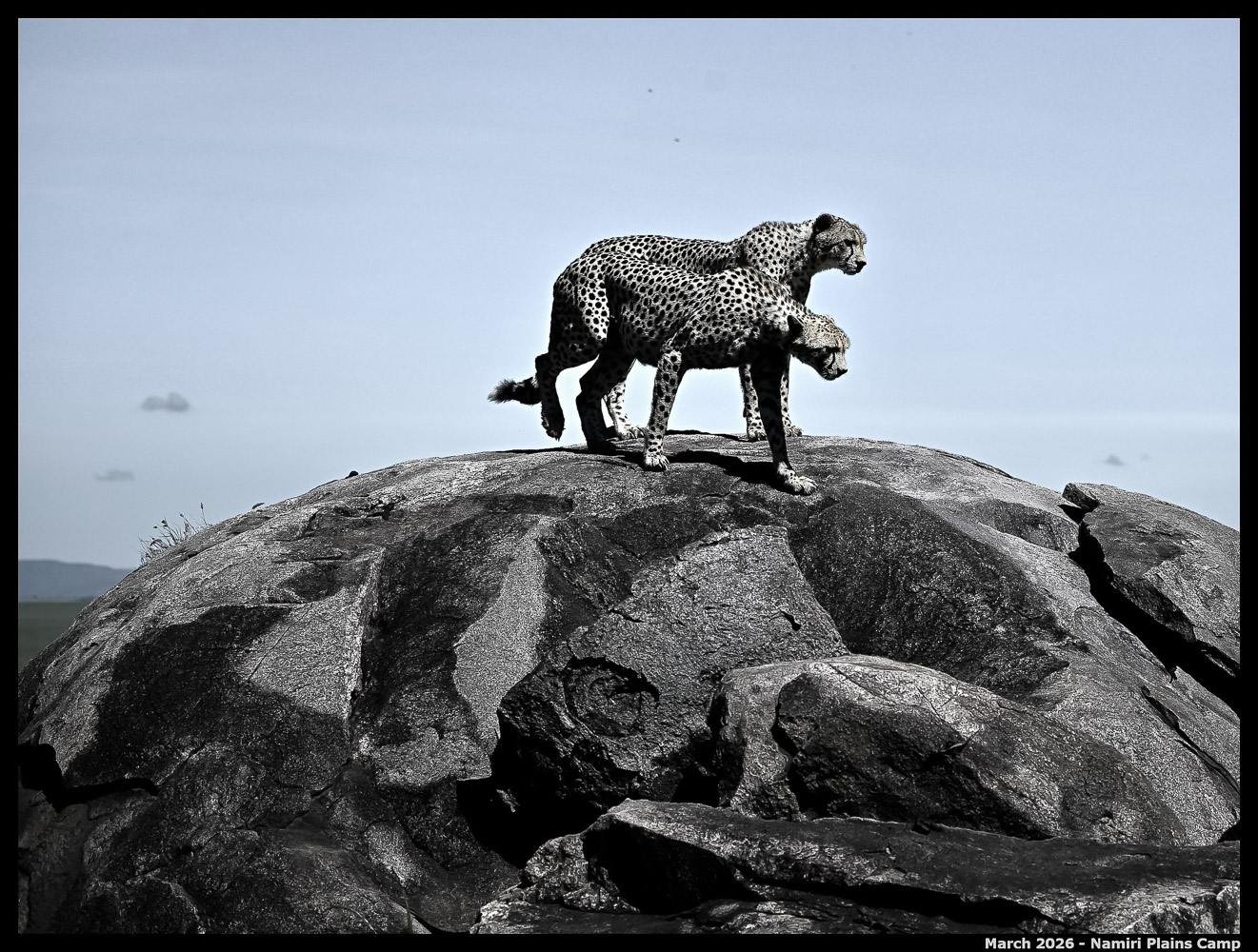_Z8B4811_00001_02_Ute_2400px
