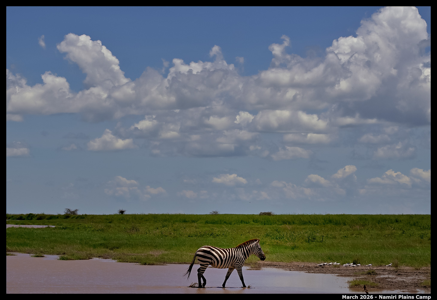_Z8B4882_00001_01_Ute_2400px