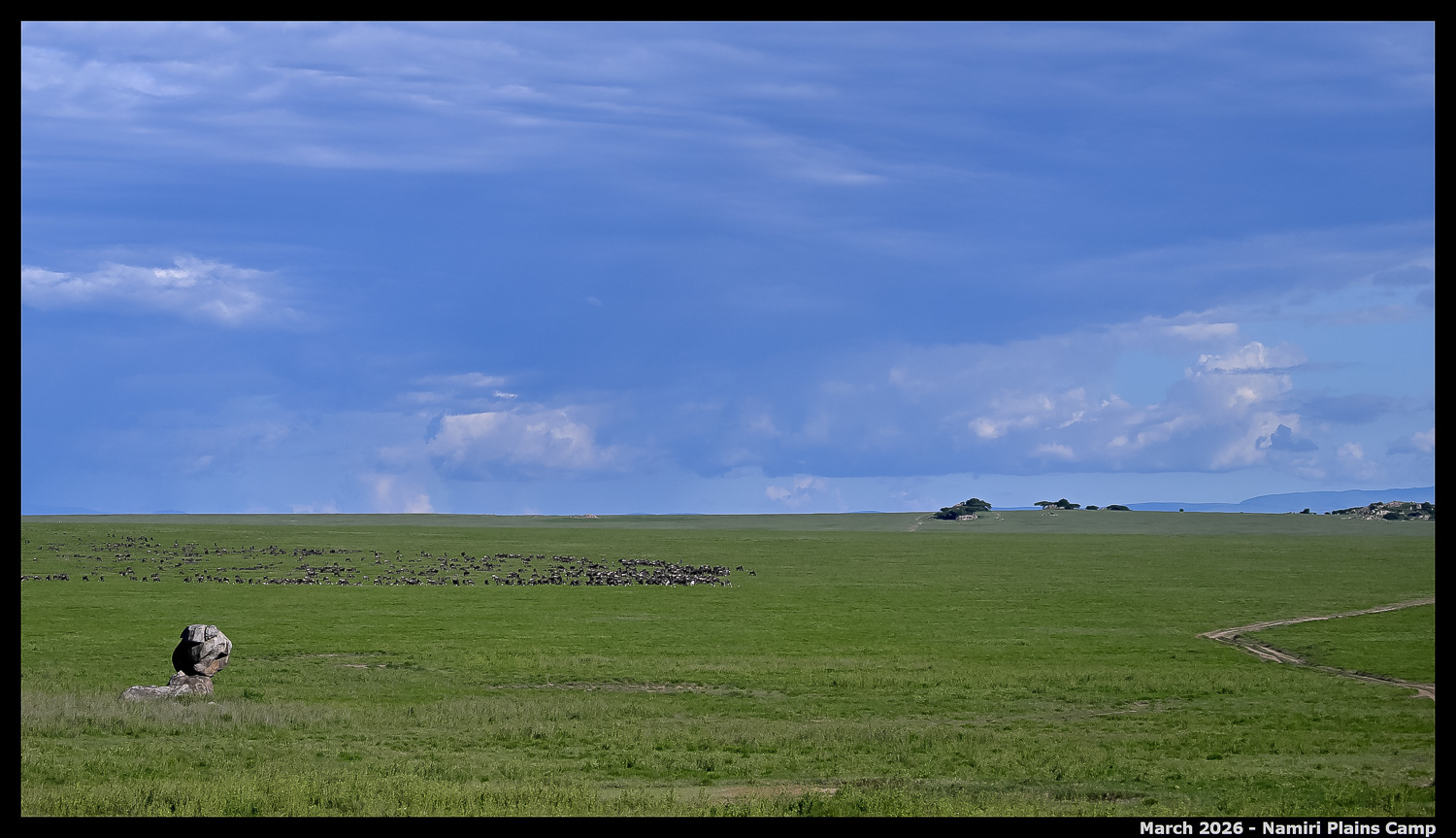 _Z8B4935_00001_Ute_2400px