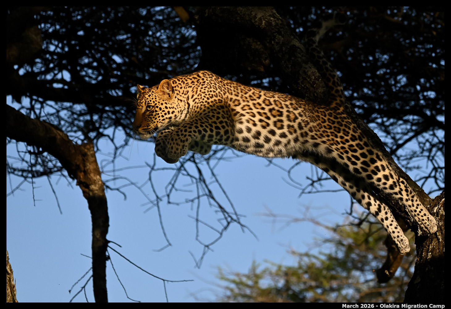 _Z8B5037_00001_Ute_2400px
