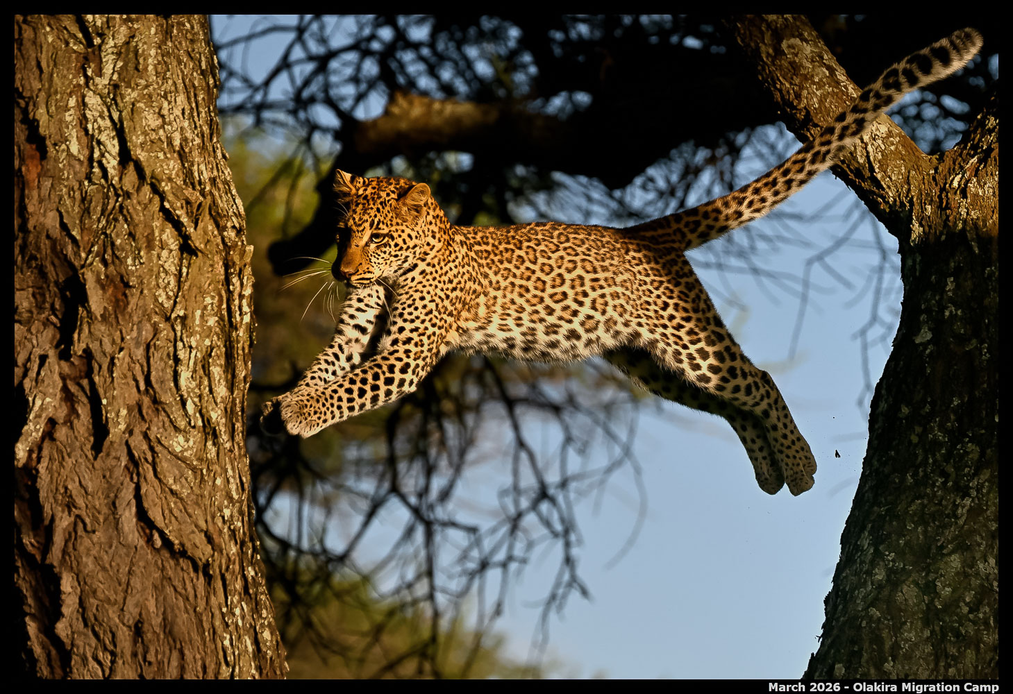 _Z8B5134_00001_Ute_2400px