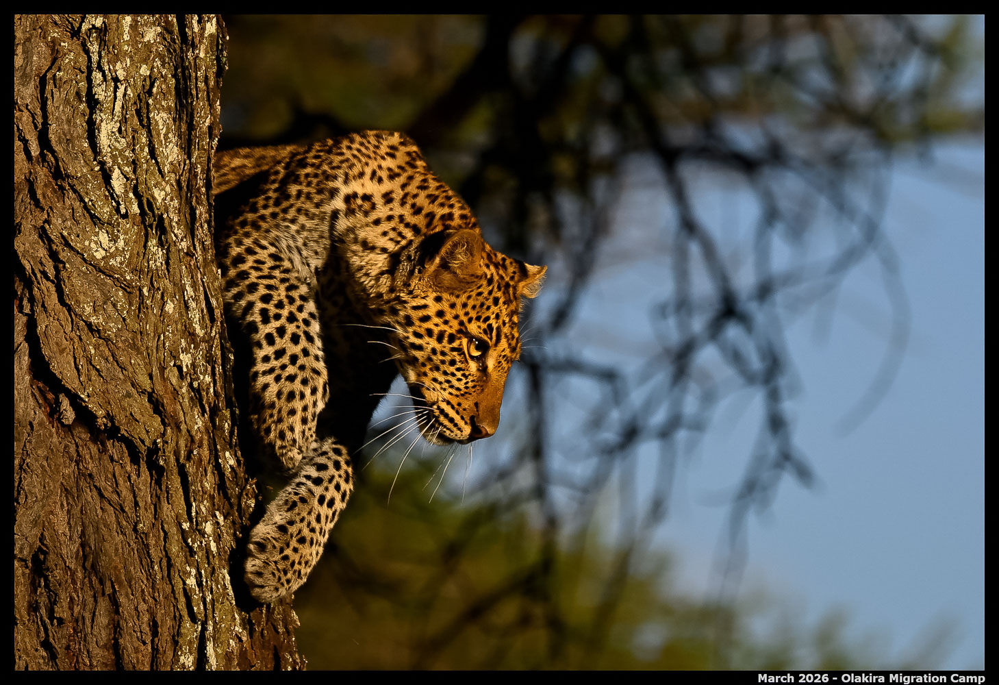 _Z8B5146_00001_02_Ute_2400px