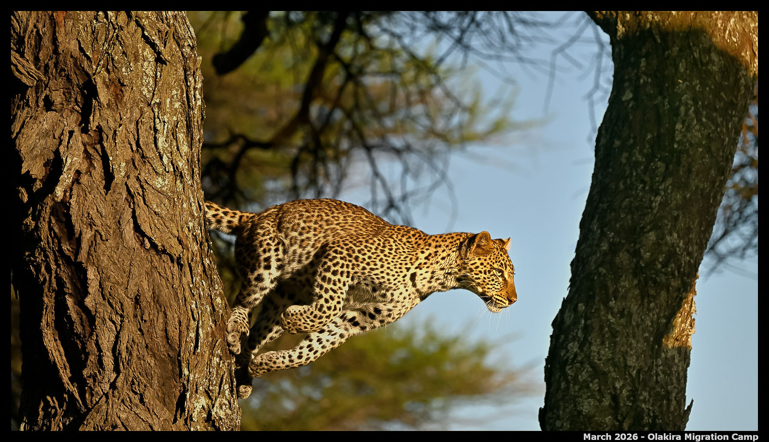 _Z8B5148_00001_Ute_2400px