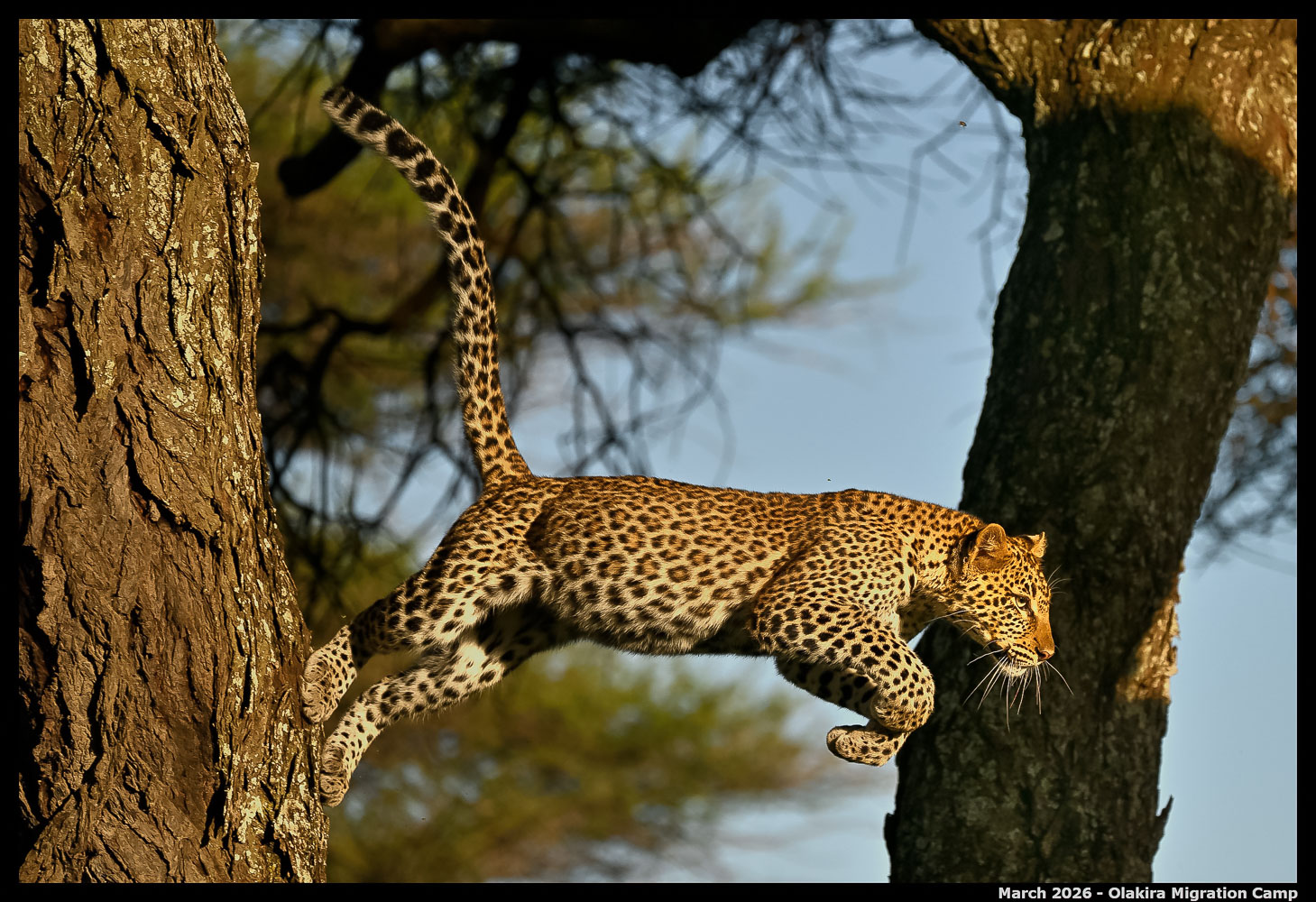 _Z8B5149_00001_Ute_2400px