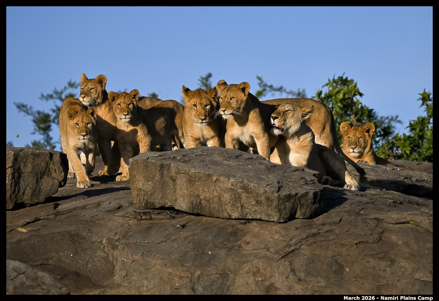 _Z8B5215_00001_Ute_2400px