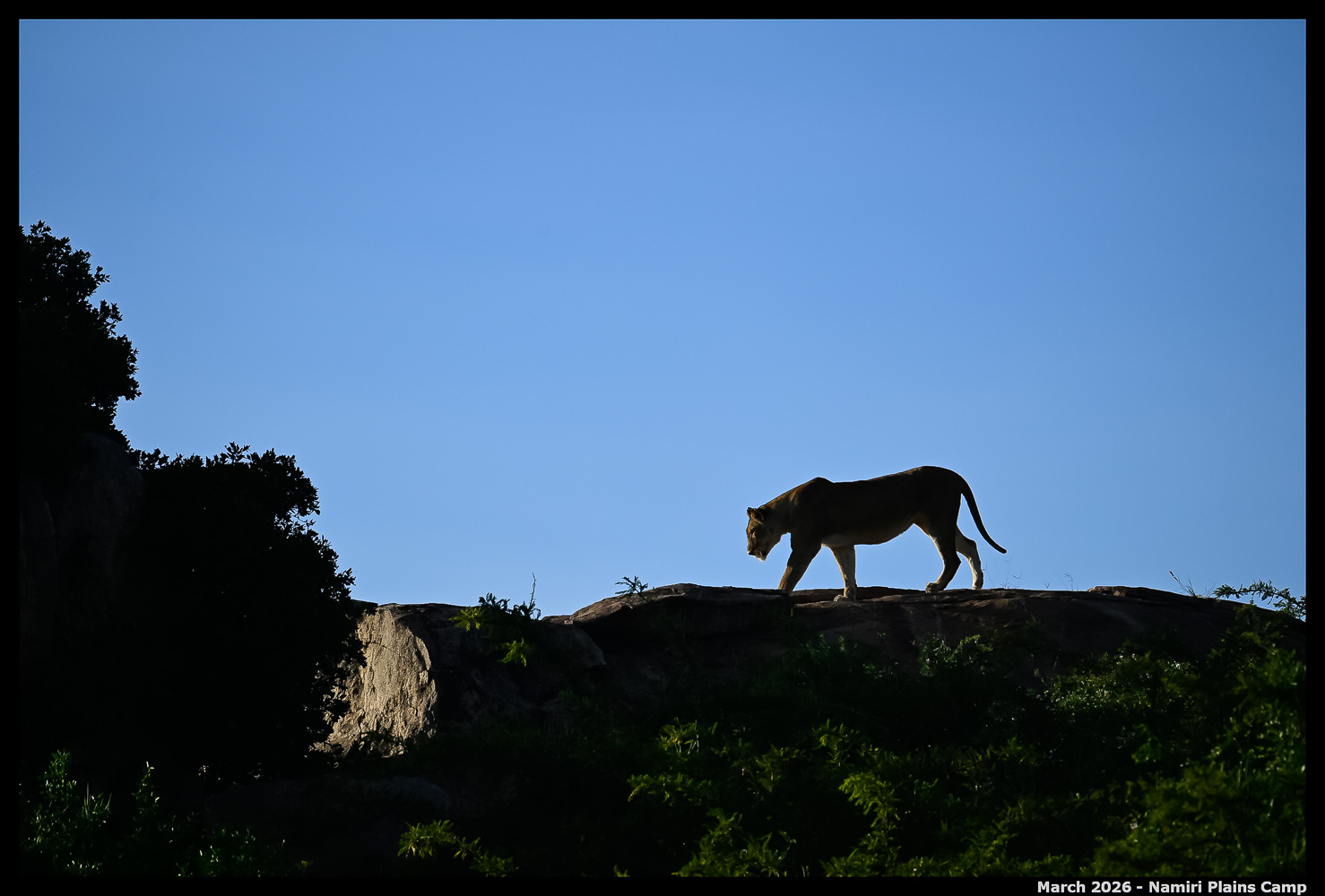 _Z8B5440_Ute_2400px