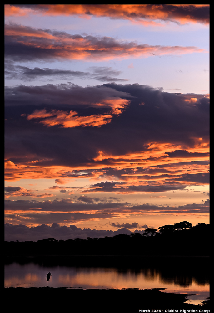 _Z8B5533_00001_02_Ute_2400px
