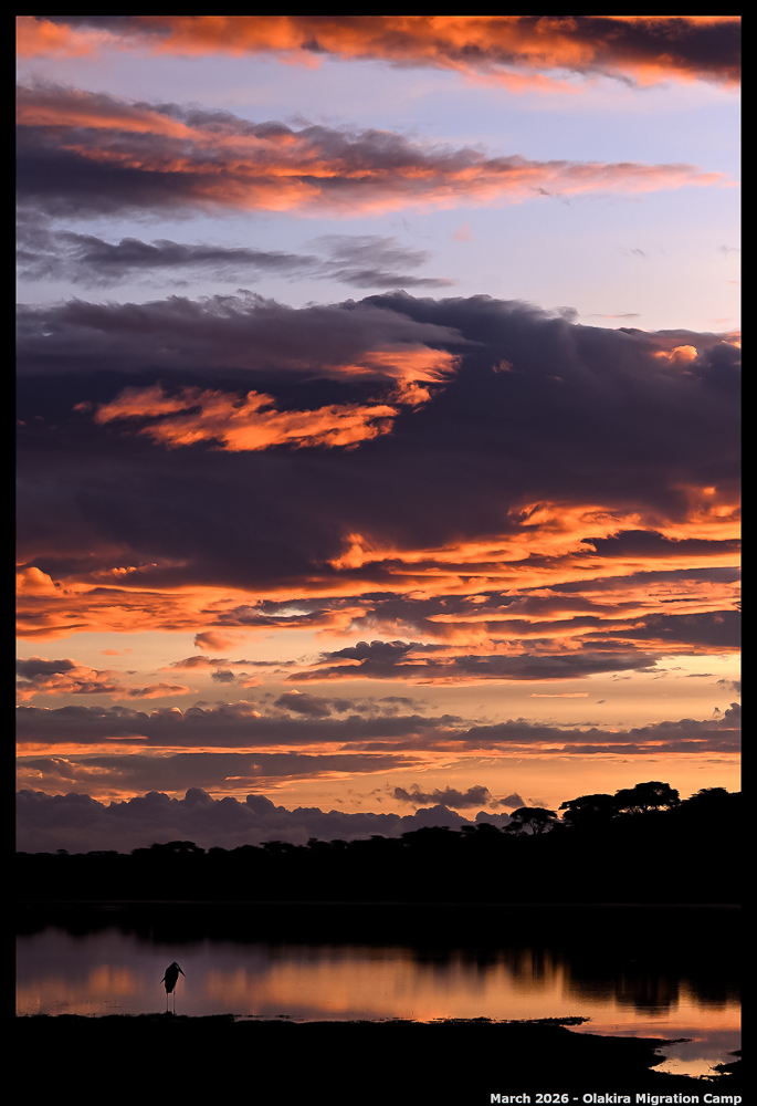_Z8B5533_00001_Ute_2400px