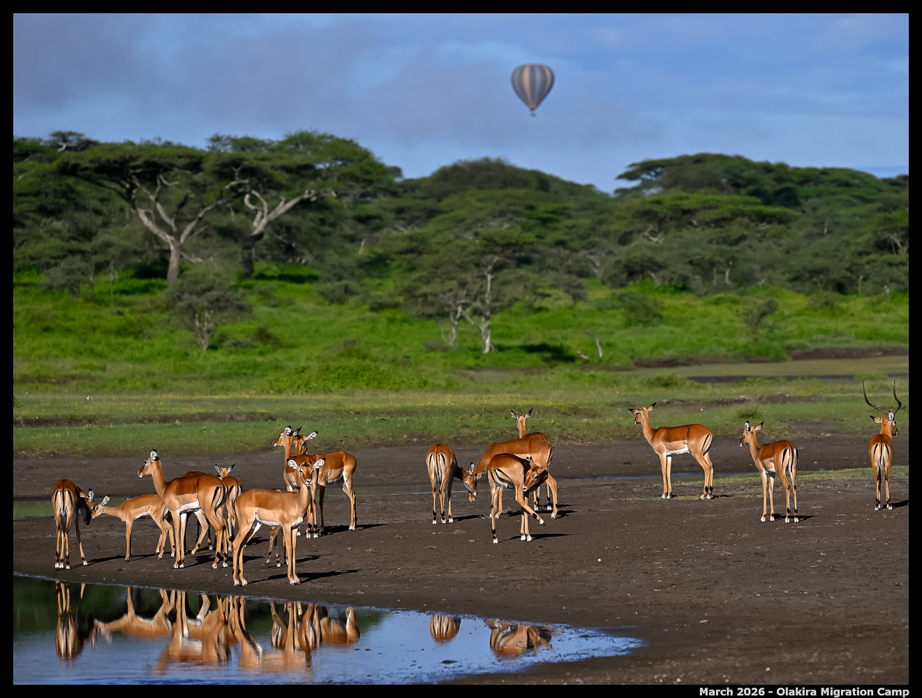 _Z8B6199_00001_Ute_2400px