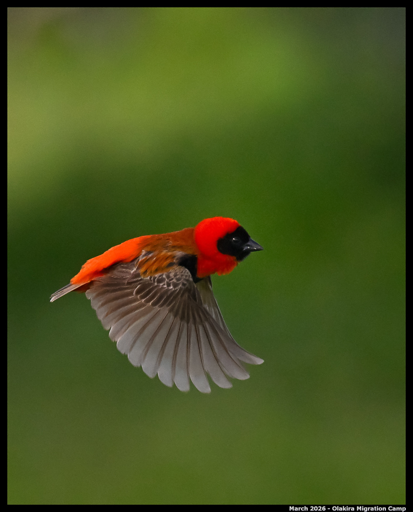 _Z8B8471_00001_Ute_2400px