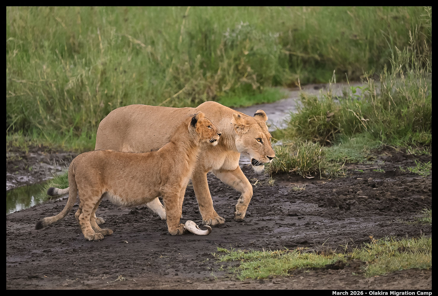 _Z8B9467_00001_Ute_2400px