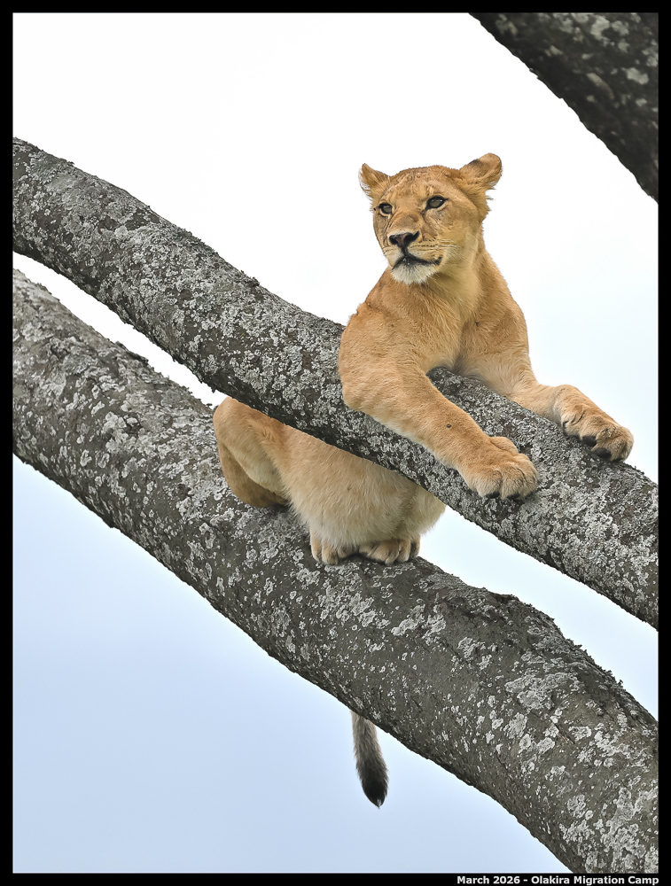 _Z8B9707_00001_Ute_2400px